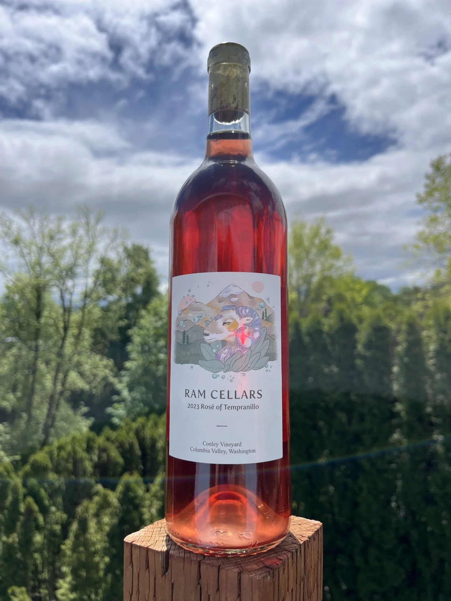 2023 Rosé of Tempranillo — RAM Cellars